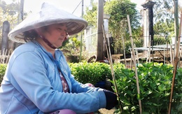 Mái ấm ngày xuân