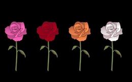 Quiz: Bạn đang cần gì nhất lúc này cho cuộc sống của mình