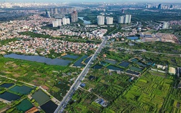 Chấm dứt những phiên đấu giá đất đảo điên