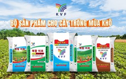Phân bón Hàn-Việt tăng tốc, hướng tới chuỗi giá trị phân bón toàn diện