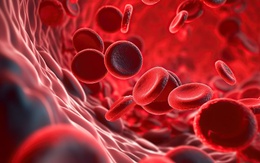 Australia phát triển liệu pháp miễn dịch mới cho ung thư máu hiếm gặp