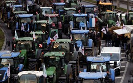 Nông dân lái hàng trăm máy kéo vào Paris biểu tình, nấu ăn trước Quốc hội Pháp