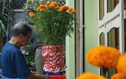 Mái ấm ngày xuân