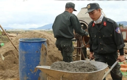 Mái ấm ngày xuân