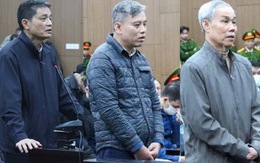 Nhận hối lộ đặc biệt lớn, cựu Cục trưởng An toàn thực phẩm lãnh 20 năm tù