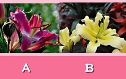 Quiz: Vận may nào sắp gõ cửa chào đón bạn trong năm 2026?