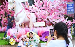 Ngựa hồng 'xuống phố', mang sắc xuân rộn ràng về trung tâm Nha Trang