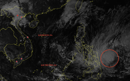 Bão Chim Én vừa hình thành gần Biển Đông