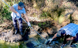 Hai nhà máy chế biến tinh bột sắn xả thải trực tiếp ra sông Pô Kô