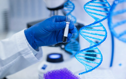 AI có thể thay thế bác sĩ răng hàm mặt hay không?