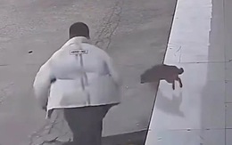 Chàng trai 'vồ ếch' vì hù dọa chó