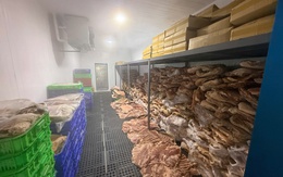 Triệt phá đường dây làm giả hơn 50 tấn thịt nhím, đà điểu, nai… từ thịt heo