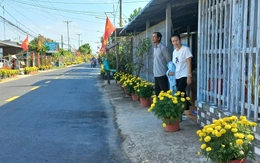 Mái ấm ngày xuân