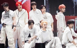 Chung kết Tân binh toàn năng đầy nước mắt, Thái Lê Minh Hiếu đâu rồi?