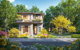 Rừng Mai - mảnh ghép mở ra Mùa Lễ Hội tại Eco Retreat