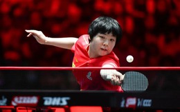 Bóng bàn Trung Quốc lung lay nghiêm trọng
