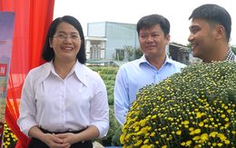 Nữ bí thư xã Chợ Lách livestream tại ruộng hoa, phụ bà con 'chốt đơn' cúc mâm xôi nở sớm