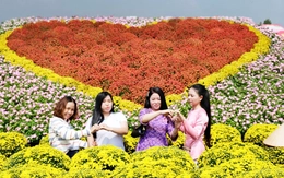 Hoa Sa Đéc vào mùa, du khách rộn ràng theo xuân về miền Tây