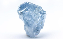 Kim cương xanh siêu hiếm 41,82 carat lộ diện, thị trường đá quý 'sôi sục'