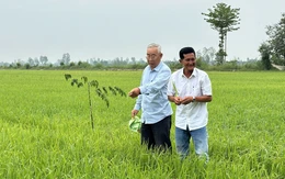 'Tỉ phú hai lúa' miền Tây gửi gắm kỳ vọng vào Đại hội Đảng XIV