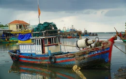 Đồng Tháp hỗ trợ ngư dân chuyển đổi nghề với mức cao nhất 350 triệu đồng mỗi tàu cá