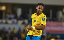 Gabon ‘trảm’ Aubameyang, giải tán tuyển quốc gia sau cú sốc AFCON