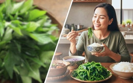 Một loại rau dân dã, dễ kiếm ở Việt Nam vừa được nghiên cứu tại Mỹ chỉ ra có khả năng ức chế ung thư