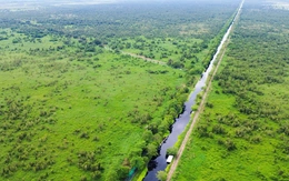 Chi cục Kiểm lâm tỉnh An Giang: Chủ động giữ 'lá phổi xanh' trong mùa khô 2026