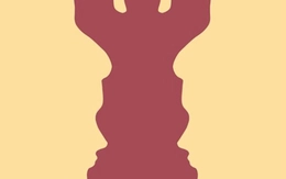 Quiz: Bạn có tầm nhìn tổng thể hay là người để ý đến từng chi tiết