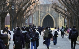 ChatGPT đạt điểm tuyệt đối 9/15 môn trong kỳ thi đầu vào đại học Nhật Bản