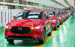 Bước nhảy vọt 5 năm của Việt Nam