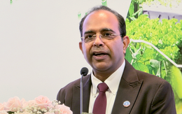 Xâm nhập mặn ở Đồng bằng sông Cửu Long không còn là cú sốc