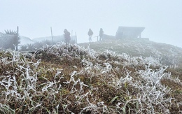 Hình ảnh băng giá ở Mẫu Sơn khi nhiệt độ giảm sâu dưới 0 độ C