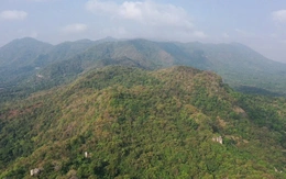 Ứng dụng khoa học - công nghệ  vào quản lý, bảo vệ rừng