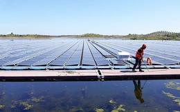 Lần đầu năng lượng mặt trời và gió vượt than đá và khí đốt trong sản xuất điện của châu Âu