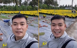 Rộ xu hướng 'giải cứu cúc mâm xôi' khắp cõi mạng