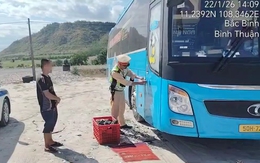 Phạt nặng 3 tài xế không bằng lái vẫn lái xe chạy trên cao tốc Phan Thiết - Vĩnh Hảo