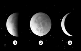 Quiz: Bạn thường dễ yêu kiểu người nào