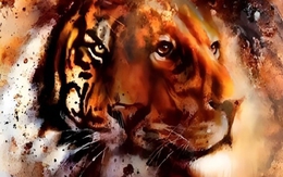 Quiz: Bạn có tố chất lãnh đạo hay thẳng thắn, chân thành