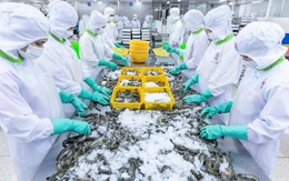 Tập đoàn Phú Cường: Từ cơ sở chế biến thủy sản đến tập đoàn đa ngành