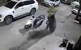 Thanh niên đi SH trộm cây kiểng bị 'nghiệp quật'