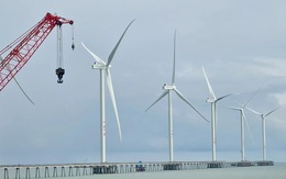 Giao hàng chục ngàn héc ta mặt biển cho hai tập đoàn EVN, PVN khảo sát điện gió