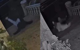 Hai vợ chồng ngã dập mông trên 'một dòng sông'