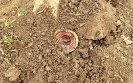 Phát hiện bom chùm ở trường tiểu học