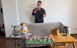 Hai chú chó hát cùng ông chủ siêu đáng yêu