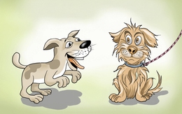 Chó hại chủ là đây!