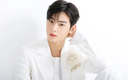Cha Eun Woo có thể lãnh án tù chung thân vì tội trốn thuế