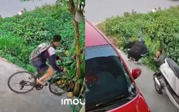 Hai khoảnh khắc từ camera an ninh khiến người xem bất ngờ