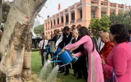 Cây bồ đề tình hữu nghị Việt - Ấn tròn 35 năm tuổi