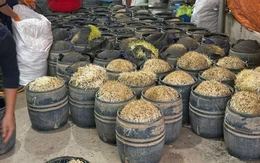 Hai chủ cơ sở dùng chất cấm để sản xuất giá đỗ bị khởi tố